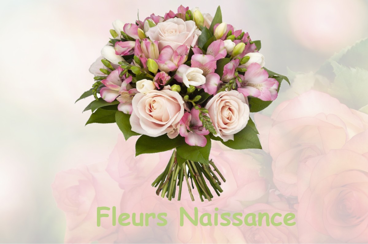 fleurs naissance GAILLAC-TOULZA