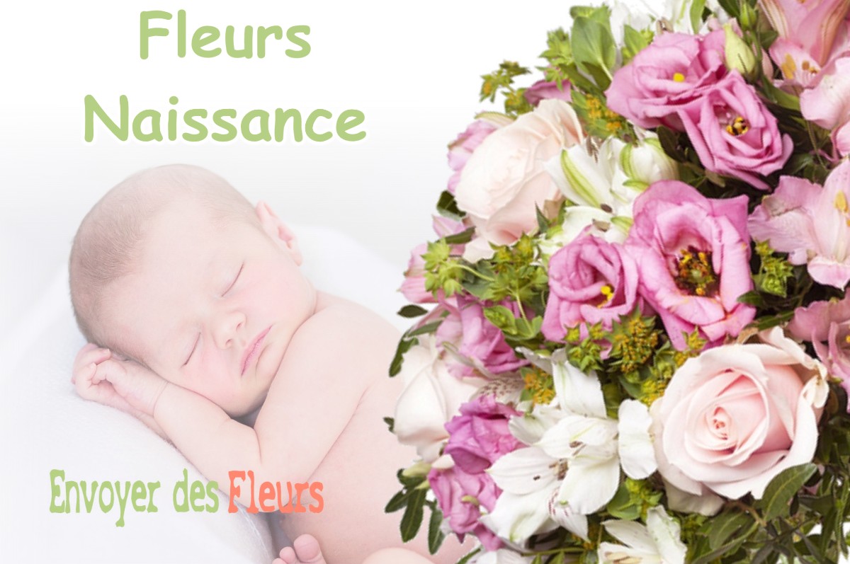 lIVRAISON FLEURS NAISSANCE à GAILLAC-TOULZA